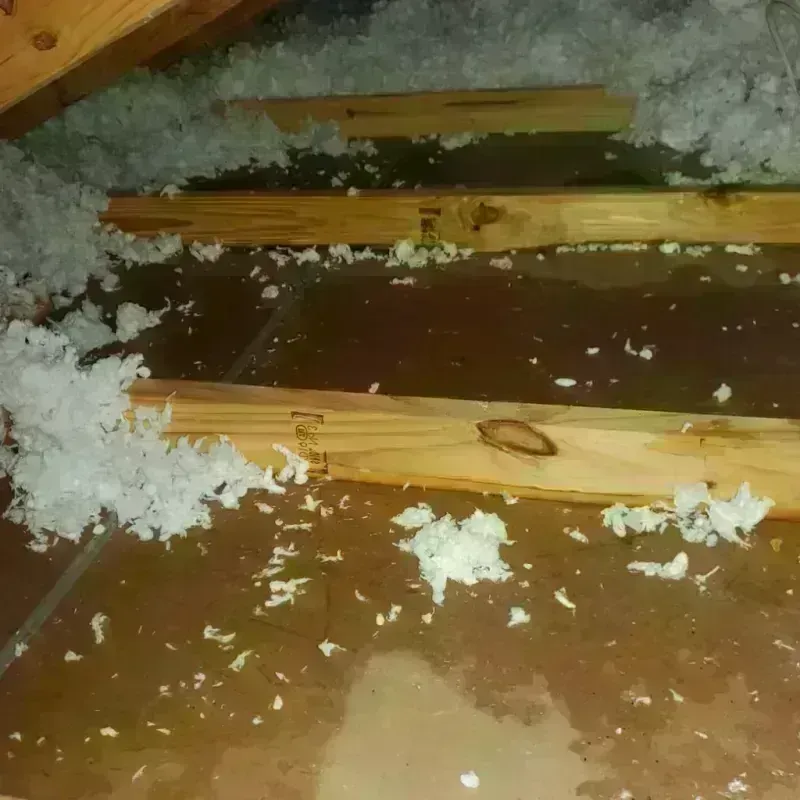 Attic Water Damage in Thomaston, ME